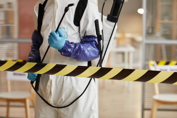 Professional Sewage Cleanup technician working in Avoca, IA